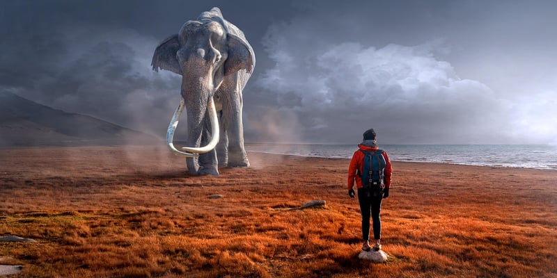 Magical Creatures Encounter