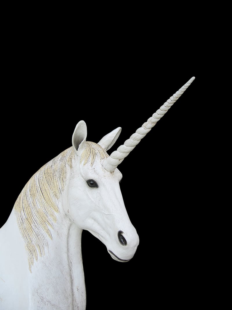 Fantasy Unicorn Landscape
